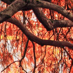 短信轰在线网页版入口