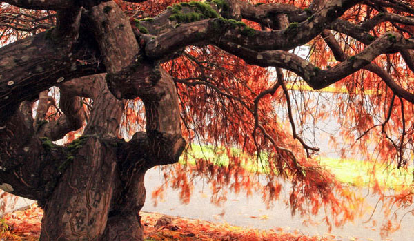 离线也能用的在线手机号轰炸测试